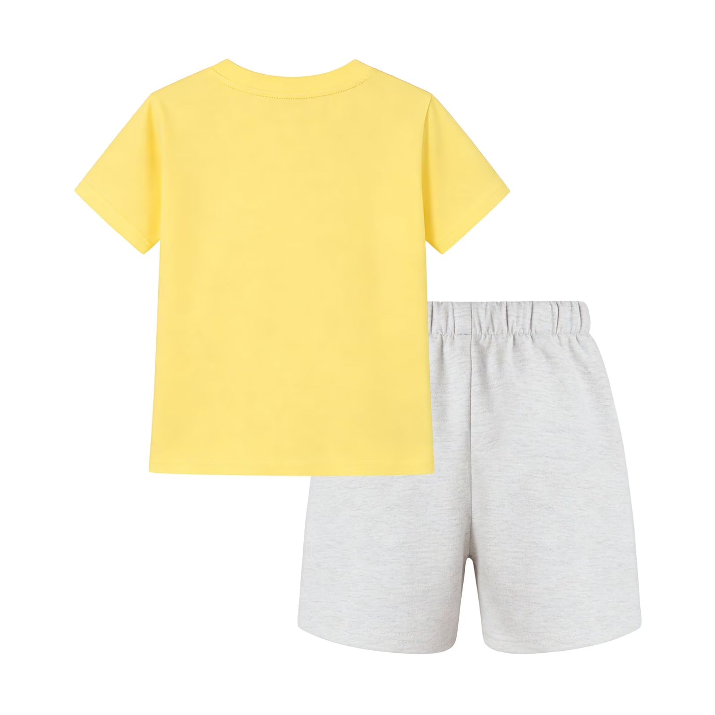 HILEELANG Toddler Girls 100% Cotton Hello Spring Bunny Short Set