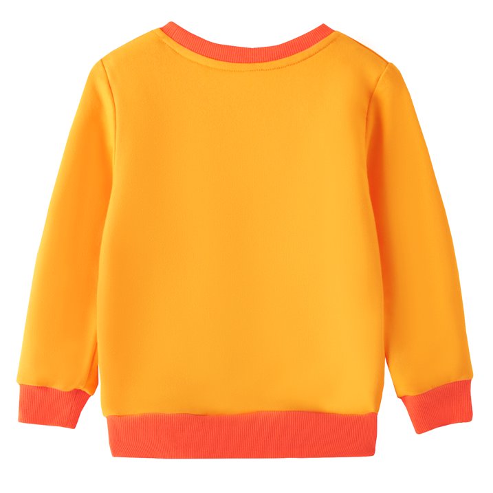 HILEELANG Toddler Boys Girls(12M-7T) OrangePumpkin Sweatshirt – Halloween & Thanksgiving Pullover Tops for Boys Girls, Cute Autumn Outfit