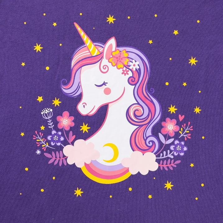 HILEELANG Toddler Girls' Long Sleeve Tee Shirt Cotton Crewneck Unicorn Graphic Tops T-Shirts Blue Pink 3 Packs
