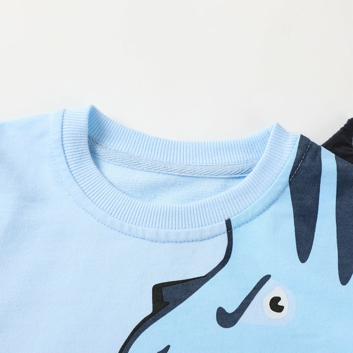 HILEELANG Toddler Boy(2-7Y) Pants Set Light Blue Dinosaur Sweatshirt Joggers Sweatsuit Winter Playwear Outfits Clothing Sets 2pc