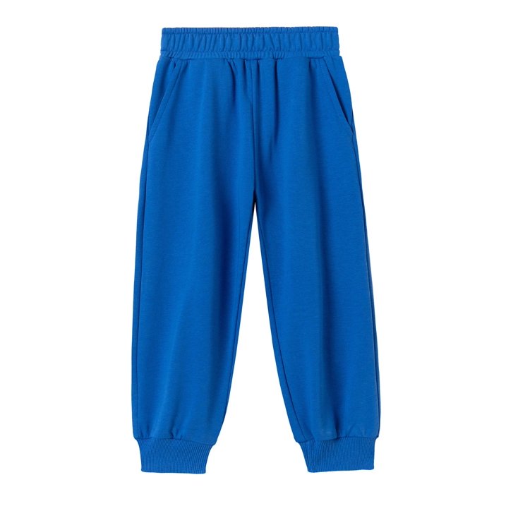 HILEELANG Toddler Boys（2-7Y) Blue Glass Dino Sweatshirt and Pants Set, 2 Piece Long Sleeve Outfit for Kids, Cotton Fall Winter Clothes