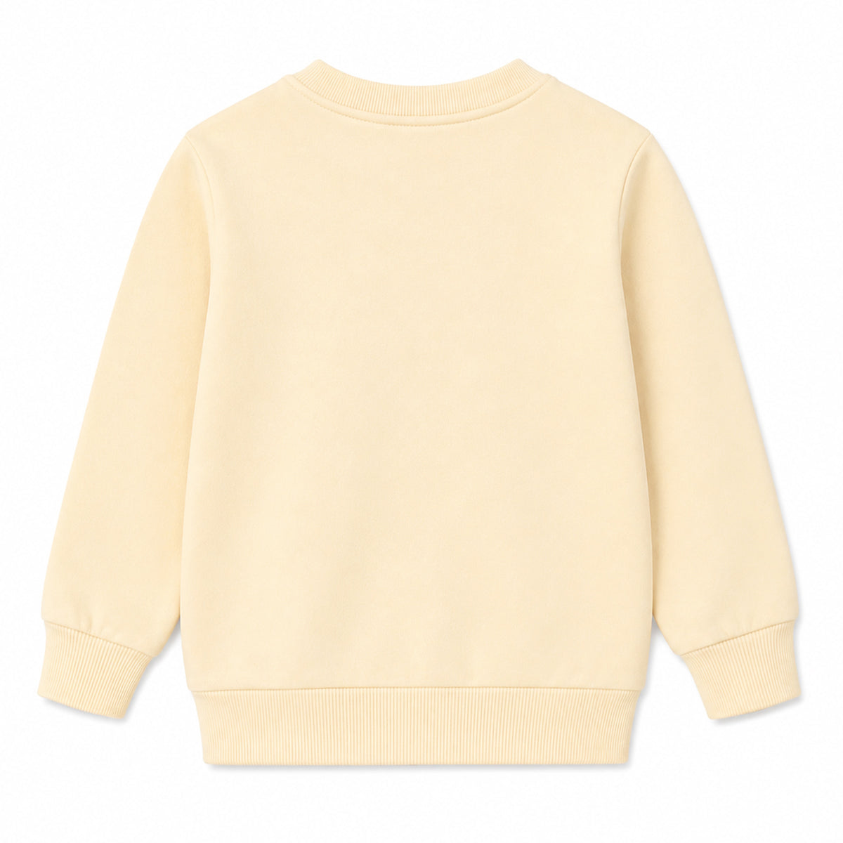 HILEELANG Toddler Boys Fox and Ghost Halloween Graphic Sweatshirt, Long Sleeve Crewneck Pullover Top, Sizes 2-7 Years