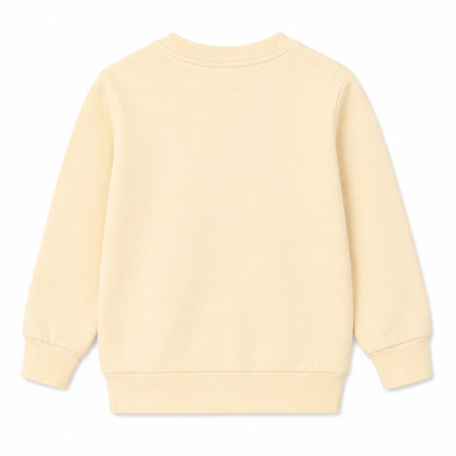 HILEELANG Toddler Boys Fox and Ghost Halloween Graphic Sweatshirt, Long Sleeve Crewneck Pullover Top, Sizes 2-7 Years