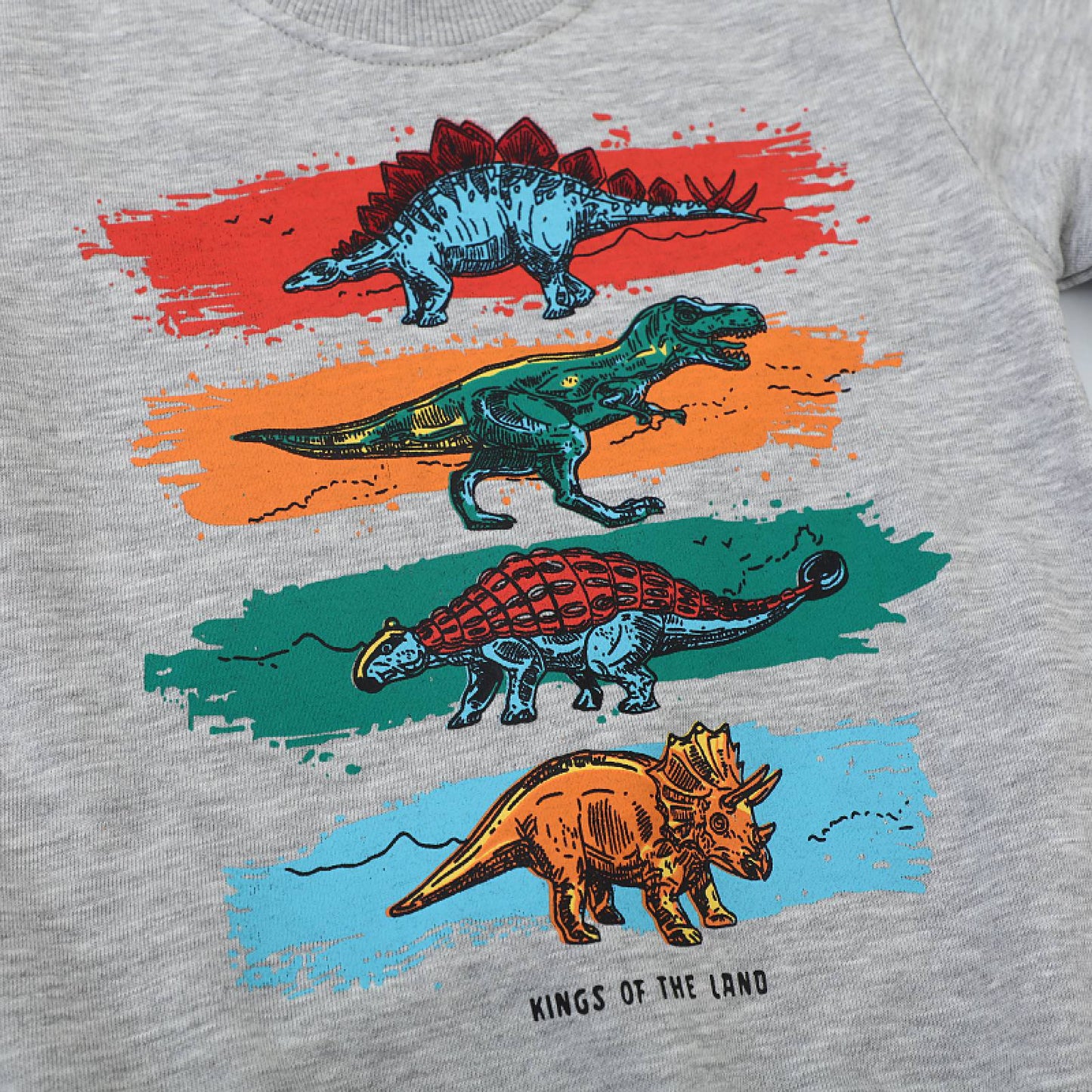 HILEELANG Toddler Boy Long Sleeve Sweatshirts Grey Dinosaur Graphic Crewneck Pullover Cotton Top Sweater Shirts