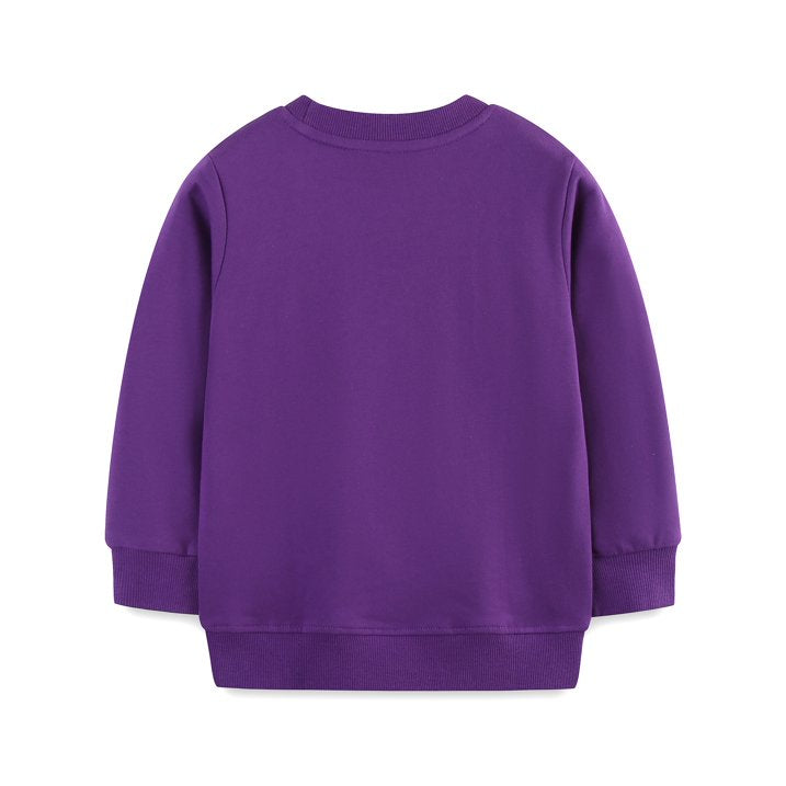 HILEELANG Toddler(18M-7T) Halloween Sweatshirt – 100% Cotton Pullover with Little dog witch and pumpkin embroidery pattern, Purple Fall Crewneck for Boys Girls