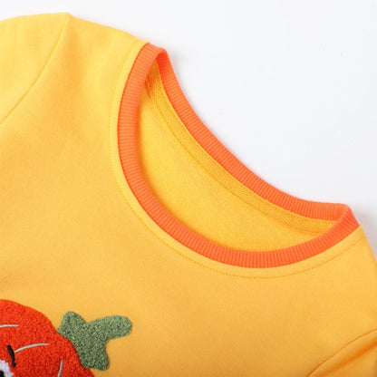HILEELANG Toddler Boys Girls（12M-7T) OrangePumpkin Sweatshirt – Halloween & Thanksgiving Pullover Tops for Boys Girls, Cute Autumn Outfit
