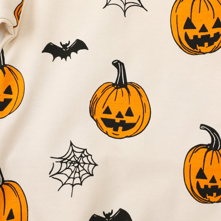 HILEELANG Toddler（18M-7T) Halloween Pullover – 100% Cotton Pumpkin and Bat Print Fall Sweatshirt for Boys Girls