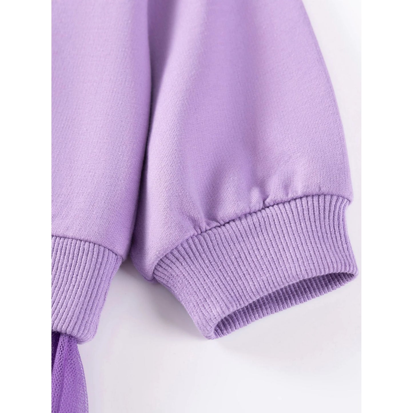 HILEELANG Toddler Girl Sweatshirt and Leggings Set （Age:2-7Y) – Long Sleeve Purple Unicorn Pullover with Collar and Off white Pants, Fall Winter Outfit for Kids