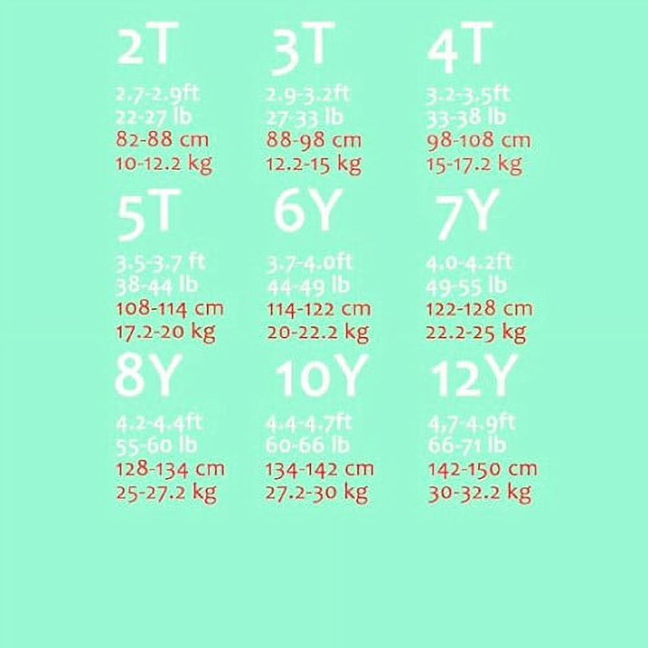 HILEELANG Toddler Girl Sweatshirts Pink Animal Unicorn Cotton Casual Crew Neck Long Sleeve Tops Shirt