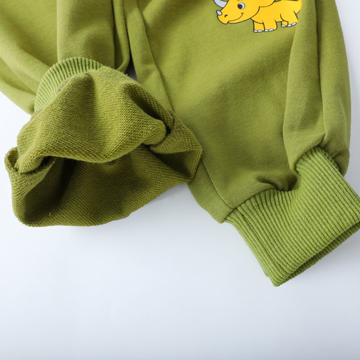 HILEELANG Toddler Boy（2-7Y) 2 Piece Cotton Pullover and Sweatpants Set with Dinosaur Applique, Green Fall Winter Clothes for Kids