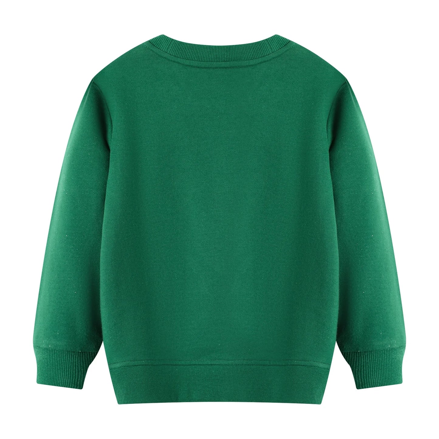 HILEELANG Toddler Boy Green Sweatshirts Halloween Spider Printed Cotton Casual Crew Neck Long Sleeve Tops Shirt