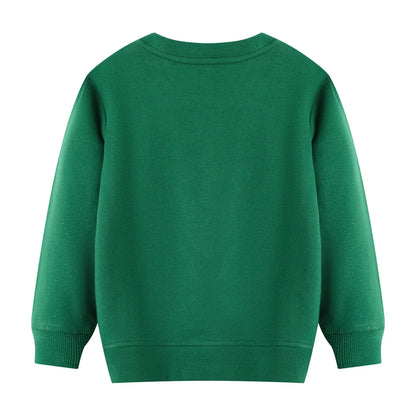 HILEELANG Toddler Boy Green Sweatshirts Halloween Spider Printed Cotton Casual Crew Neck Long Sleeve Tops Shirt